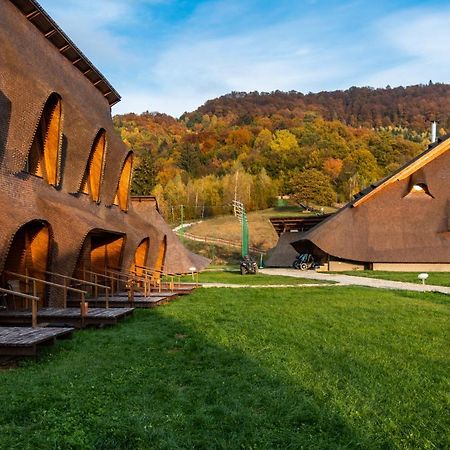 Cuibul De Lemn Hotel Rîşnov Exterior foto